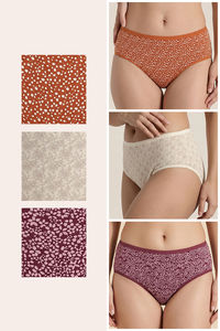 Zivame Medium Rise Full Coverage Hipster Panty (Pack of 3) - Multicolor — thumbnail 2